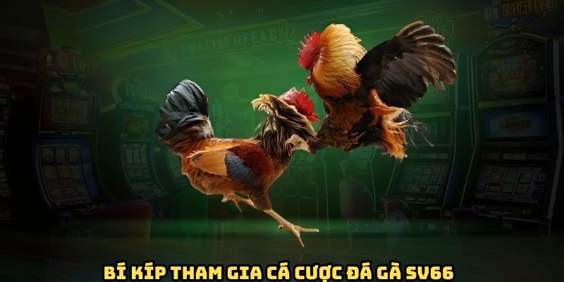 bi-kip-tham-gia-da-ga-sv66